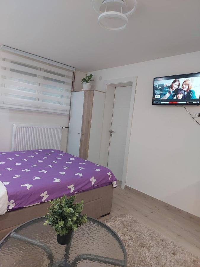 Apartman Zivkovic Leskovac  Esterno foto