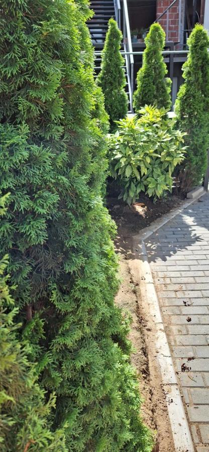 Apartman Zivkovic Leskovac  Esterno foto