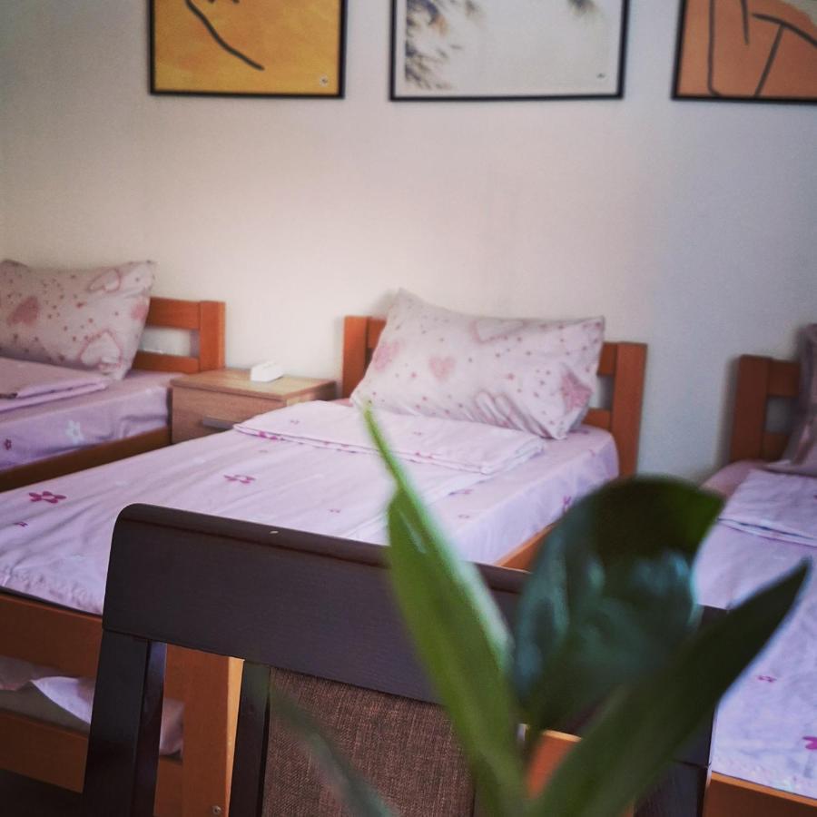Apartman Zivkovic Leskovac  Esterno foto